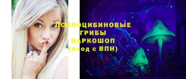 дмт Лиски