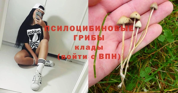 каннабис Лихославль