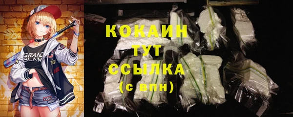 дмт Лиски