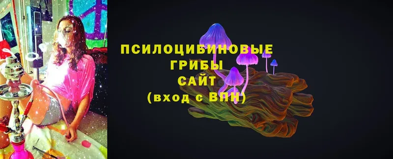 Псилоцибиновые грибы Magic Shrooms Люберцы