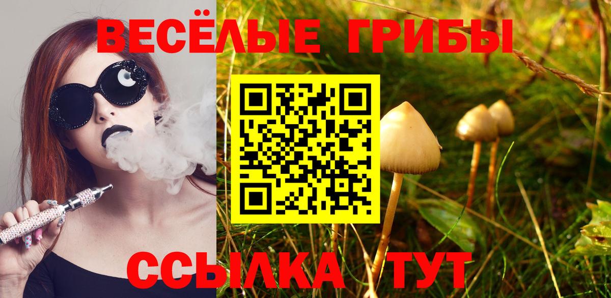 Галлюциногенные грибы мухоморы  Псилоцибиновые грибы Magic Shrooms  купить наркоту  Люберцы  Вход с VPN 