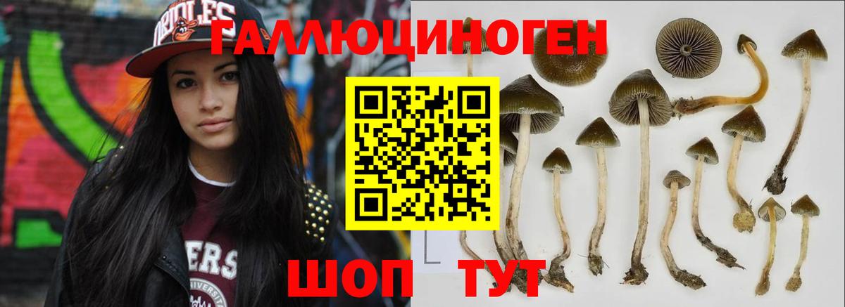 Псилоцибиновые грибы MAGIC MUSHROOMS  Галлюциногенные грибы Psilocybe  Люберцы 